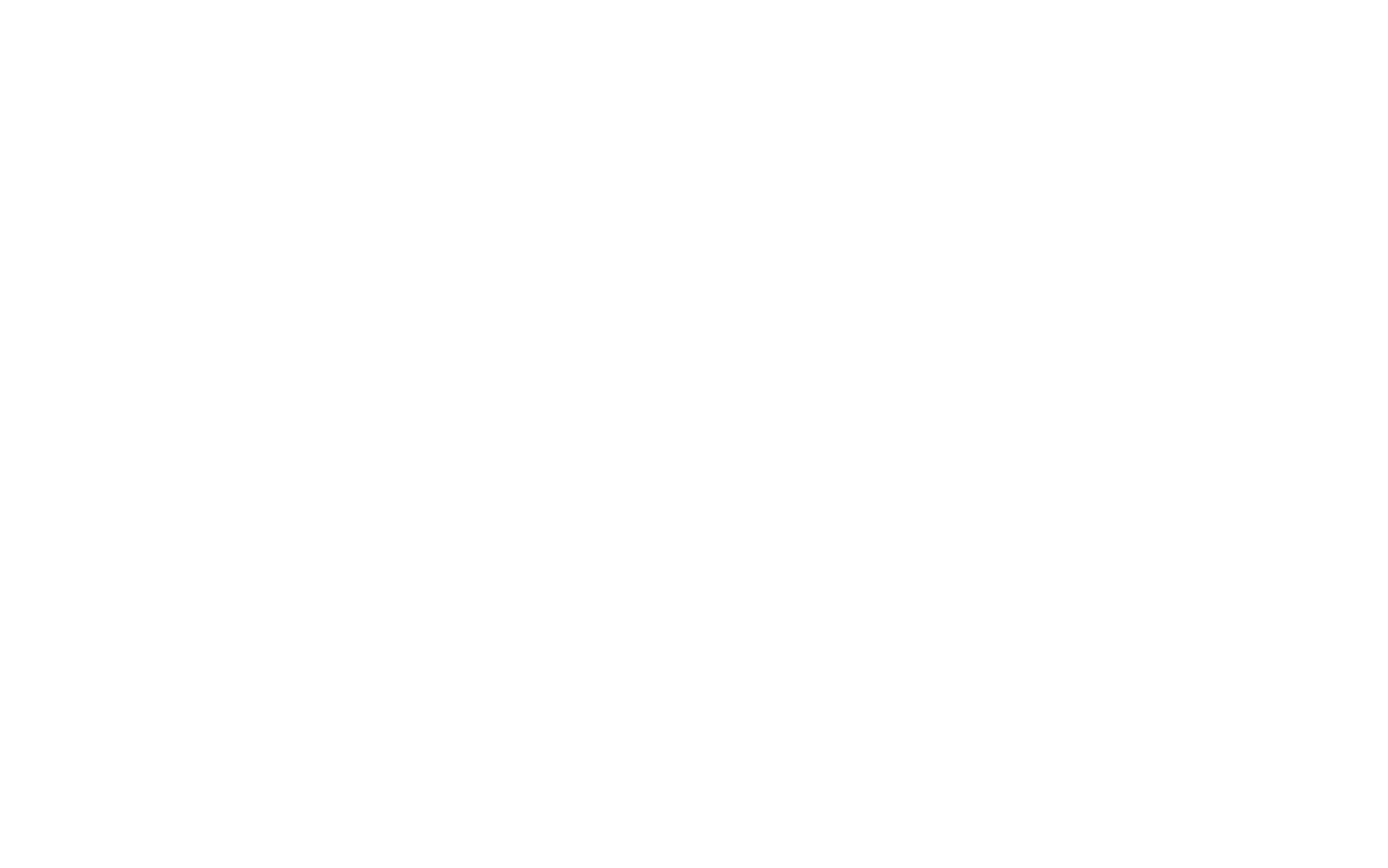 Fort Sécurité logo